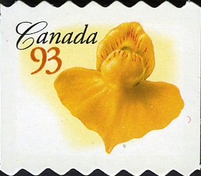 CA066.06.jpg