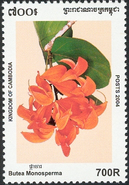 KH005.04.jpg
