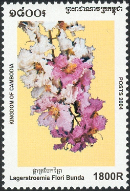 KH008.04.jpg