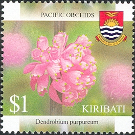 KI017.04.jpg