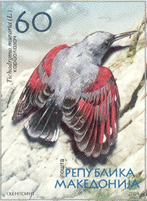 MK025.04.jpg