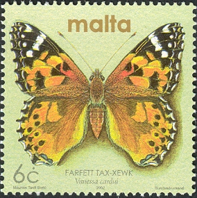 MT015.02.jpg