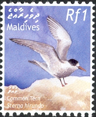 MV078.02.jpg