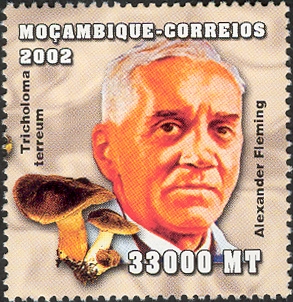 MZ374.02.jpg