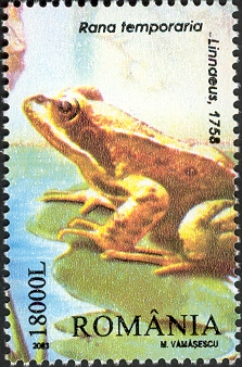 RO067.03.jpg