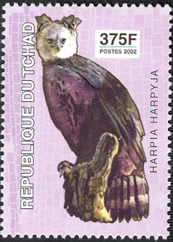 TD020.03.jpg