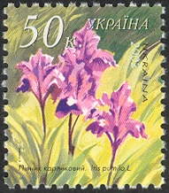 UA032.02.jpg