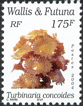 WF024.04.jpg