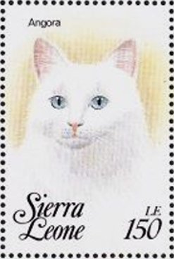 Colnect-4221-162-Angora.jpg