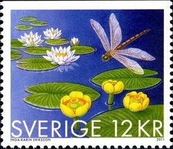 Colnect-1404-855-Nymphaea-alba--amp--Nuphar-lutea.jpg