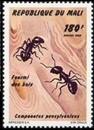 Colnect-2377-094-Black-Carpenter-Ant-Camponotus-pennsylvanicus.jpg