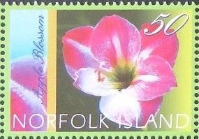 Colnect-4890-166-Apple-Blossom.jpg