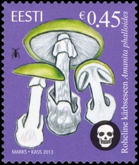 Colnect-1825-803-The-Death-Cap---Amanita-phalloides.jpg