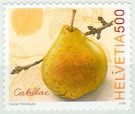 Colnect-881-254-Catillac-Pear.jpg