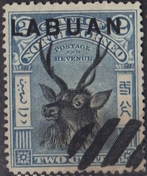 Colnect-593-349-Sambar-Deer-Cervus-unicolor.jpg
