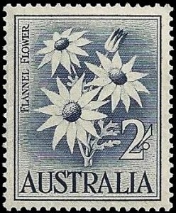 Colnect-1383-926-Flannel-Flower.jpg