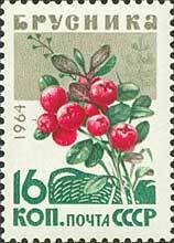Colnect-193-901-Lingonberries.jpg