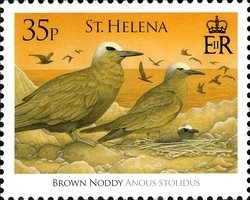 Colnect-1705-869-Brown-Noddy-Anous-stolidus.jpg