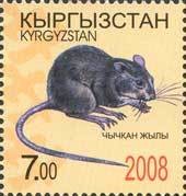 Colnect-197-425-Rat-Rattus-sp.jpg