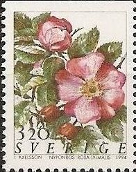 Colnect-439-029-Wild-Rose-Rosa-dumalis.jpg