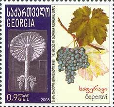 Colnect-1106-574-Saperavi-grape.jpg