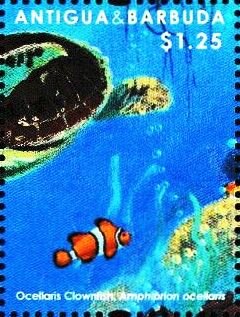 Colnect-5942-822-Rear-of-Green-Sea-Turtle-Chelonia-mydas-Clownfish.jpg