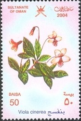 Colnect-1541-187-Viola-cinerea.jpg