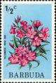 Colnect-2681-019-Oleander.jpg