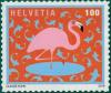 Colnect-6005-061-Flamingo.jpg
