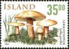 Colnect-5244-308-Mushrooms.jpg