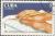 Colnect-1455-890-Lern-writing.jpg