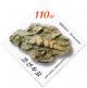 Colnect-3268-611-Hormotoma.jpg
