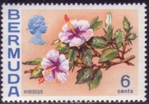Colnect-1214-162-Hibiscus.jpg