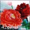 Colnect-5727-180-Peonies.jpg