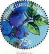 Colnect-5812-641-Blueberries.jpg