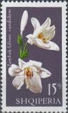 Colnect-5816-531-Madonna-Lily.jpg