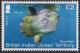 Colnect-4396-551-Marine-Life.jpg