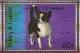 Colnect-5873-022-Chihuahua.jpg