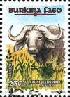 Colnect-3982-261-Buffalo.jpg