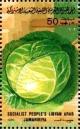 Colnect-4816-276-Cabbage.jpg