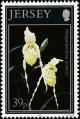 Colnect-6122-292-Orchids.jpg
