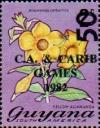 Colnect-4754-867-On-2c-Yellow-Allamanda.jpg