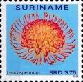 Colnect-4090-022-Leucospermum.jpg