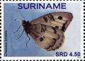 Colnect-4204-542-Butterflies.jpg