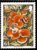 Colnect-706-772-Orange-Peel.jpg