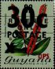 Colnect-4875-202-30-on-2-Norantea-guianensis.jpg