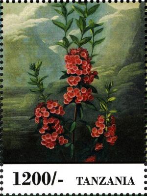 Colnect-2427-342-Flowers.jpg