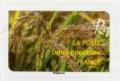 Colnect-4358-386-Riz-Rice.jpg