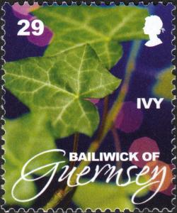 Colnect-4163-105-Ivy.jpg