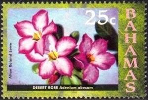 Colnect-4134-993-Desert-rose.jpg